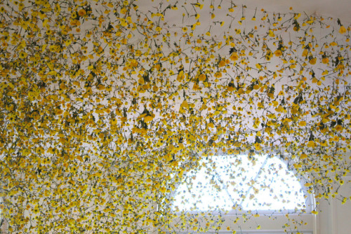 artruby:Rebecca Louise Law. 