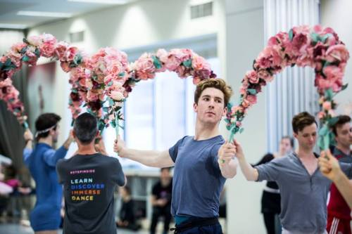 vintagepales:Artists of the Australian Ballet rehearse the...