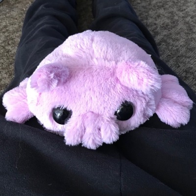 sea pig stuffed animal