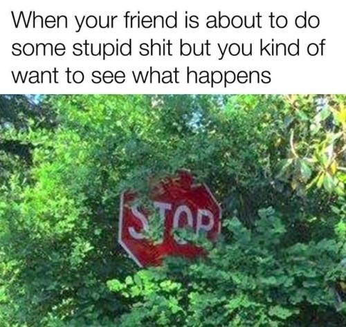 lolmemez:Good Friend