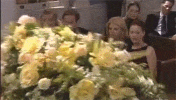tumblr_o92nwky99H1seuriqo1_400.gif