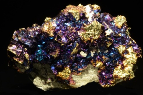 hematitehearts:Chalcopyrite on MatrixLocality:Sweetwater...