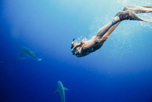 underwater bikini | Tumblr