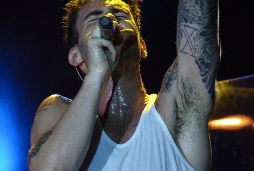 malecelebarmpits:Adam Levine 1