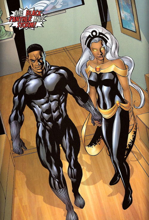 Black Panther and Storm