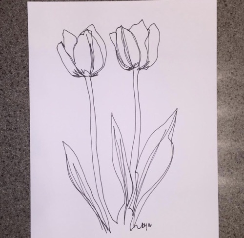 yngdstn:Single line drawing of tulips by me. Please reblog and...