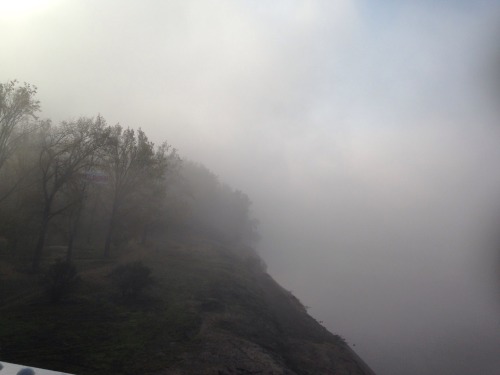 foggy day foggy morning nature trees bridge sunny pale grunge pale ghost beautiful imagination dark imagine darkness light