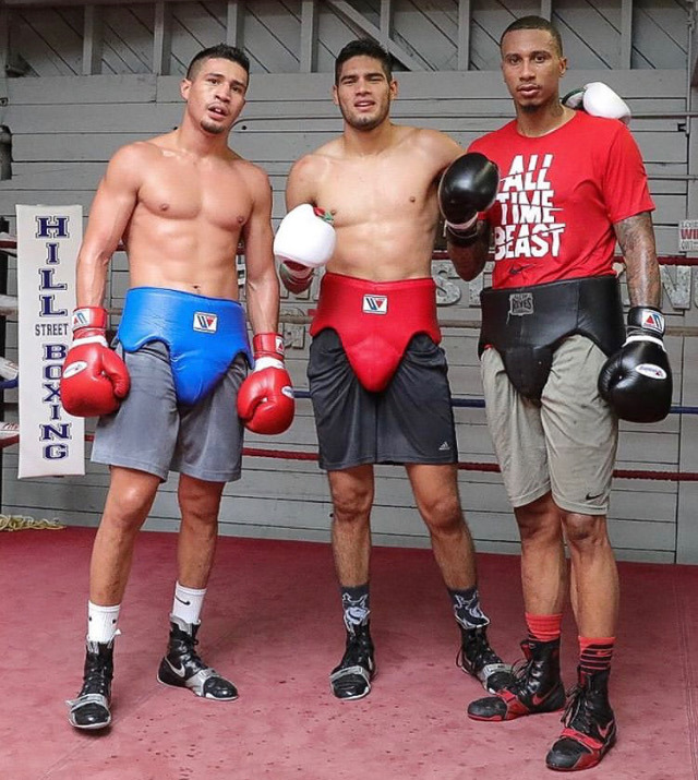 Boxing Groin Guards