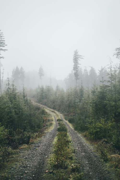 earth-dream:Path