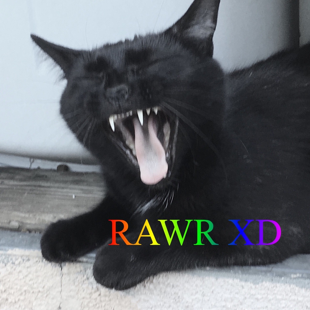 Wizard 1o1 Wizard 1o1