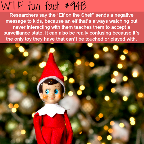 Fact Of The Day-Tuesday December 25th 2018 Tumblr_pk9zxquY2C1roqv59o1_500