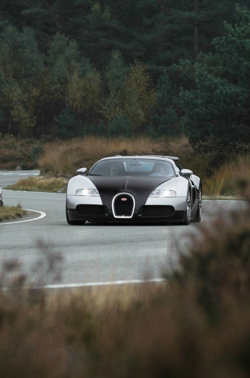 dreamer-garage:Bugatti Veyron (via)