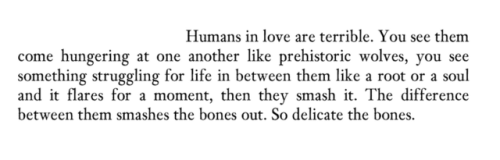 gnossienne:Anne Carson, from Plainwater: Essays and Poetry 