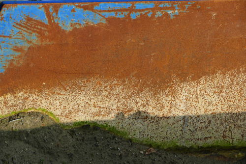 skip rust shadow photographers on tumblr
