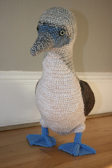 knithacker:She Crocheted a Blue-Footed Booby!...