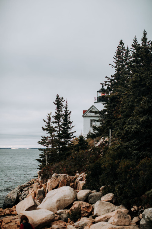 misskim:Acadia National ParkKimberly Crist | | Website