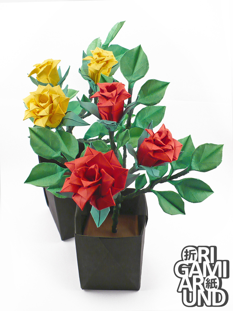 Origami Around Origami Rose Plants The Process Materials