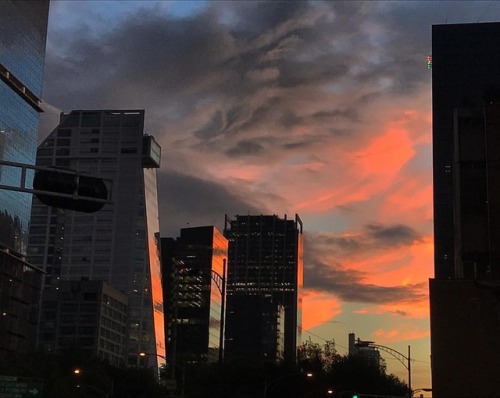 hamburguesadelinfierno:Sunset III (at Mexico City,...