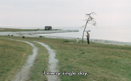 exhaustedscreen:The Sacrifice (Andrei Tarkovsky, 1986).