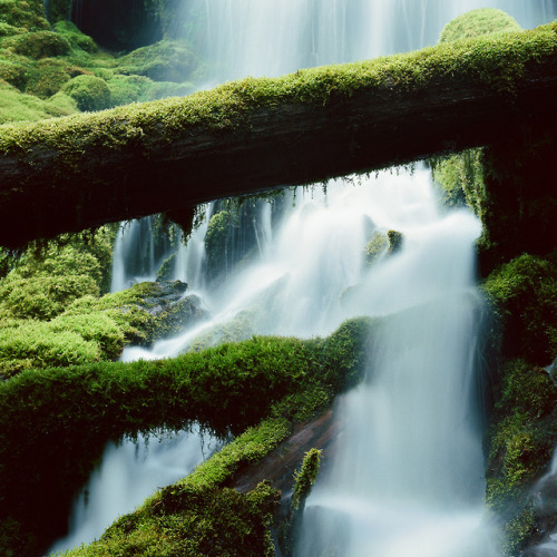 imiging:- Volcanic Spring, Oregon. 2017- Pentax 6x7 / Kodak...