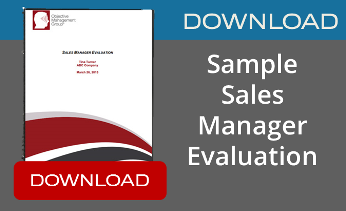 sample sales manager evaluation