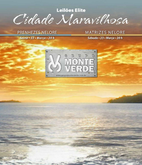 Programa Leilões