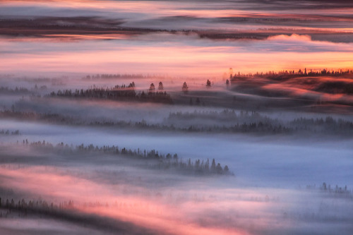 melodyandviolence:Tranquil forest  Iso-Syöte, Finland...