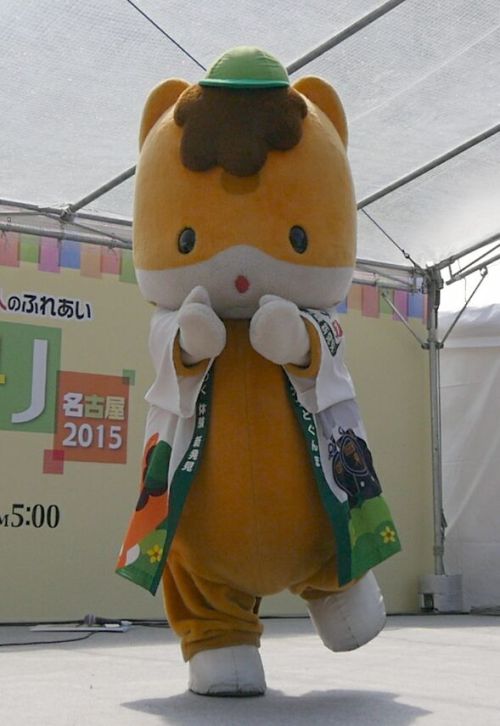 azflashjp