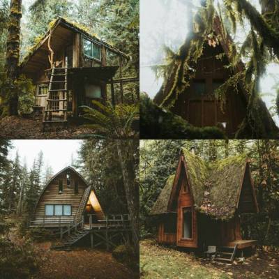 Magic Cabin In The Woods Tumblr