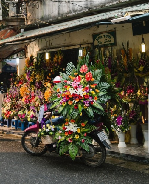 seansavestheworld:Hanoi