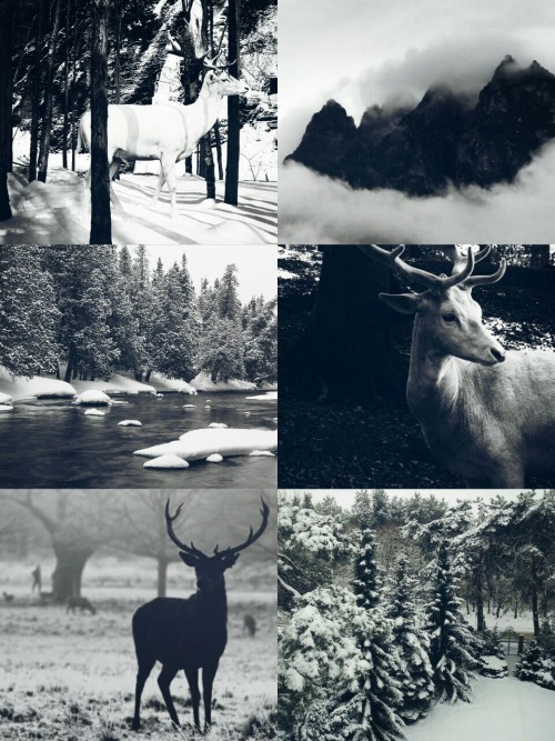 kinstethic:White Stag aesthetic