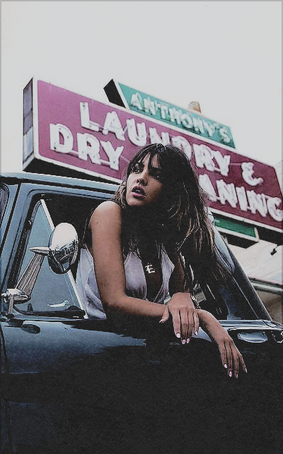 Y. Faye Navarro