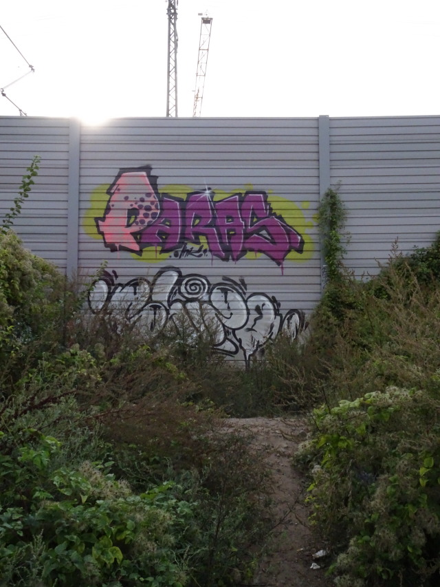 halle 2019