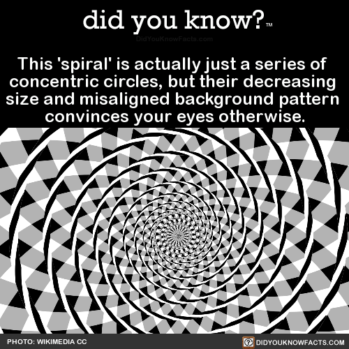 this-spiral-is-actually-just-a-series-of