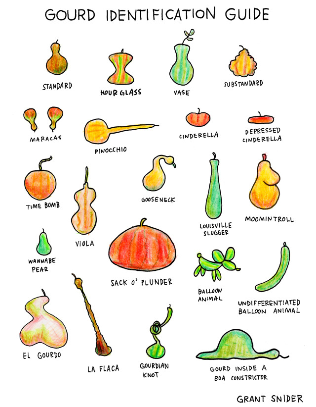 Gourd Identification Chart
