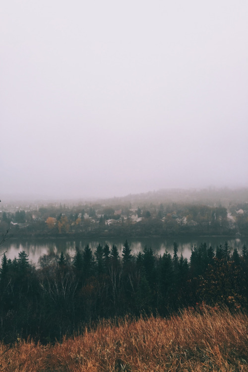 avenuesofinspiration:Foggy Downtown | @Mammothstock | AOI