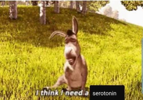 anxietyproblem