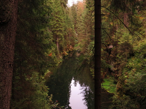 Kirnitzschklamm bei Hinterhermsdorf