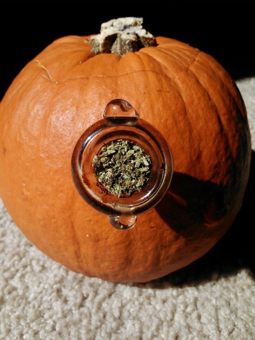 mindsetofdelinquents:Made a pumpkin bowl/bong 