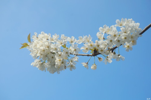 thethingsiveseen-photography