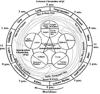 Circadian Rhythms, the Chinese Clock and How To at METANOIA-WORLD