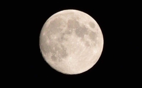 littleneptuneflower:i took this photo of la luna last night,...