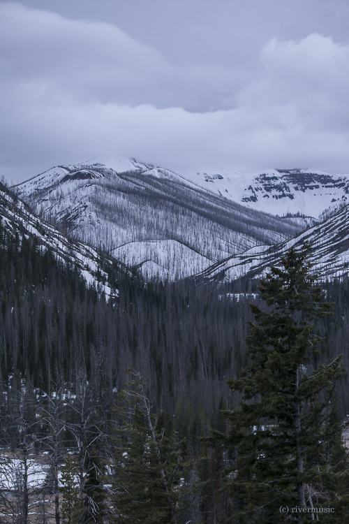 riverwindphotography:In the High Country: Sylvan Pass,...