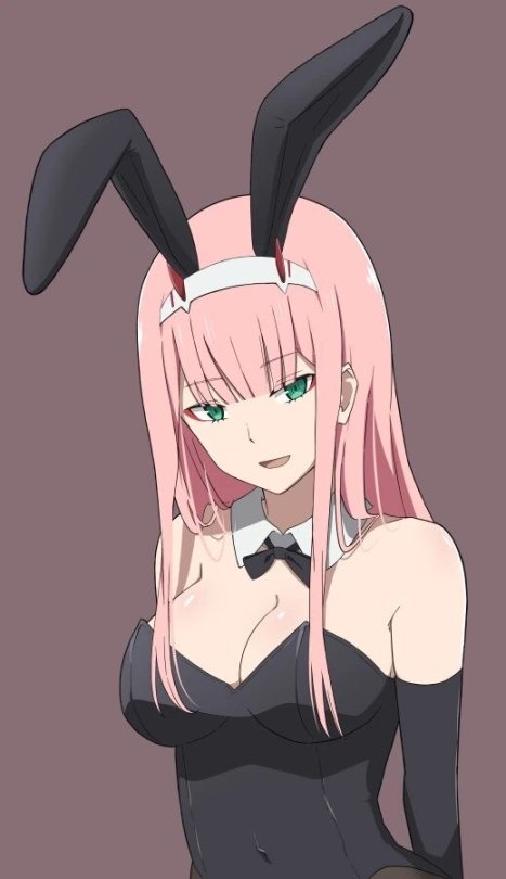 bunny suit on Tumblr