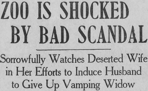 yesterdaysprint:Boston Post, Massachusetts,March 7, 1921