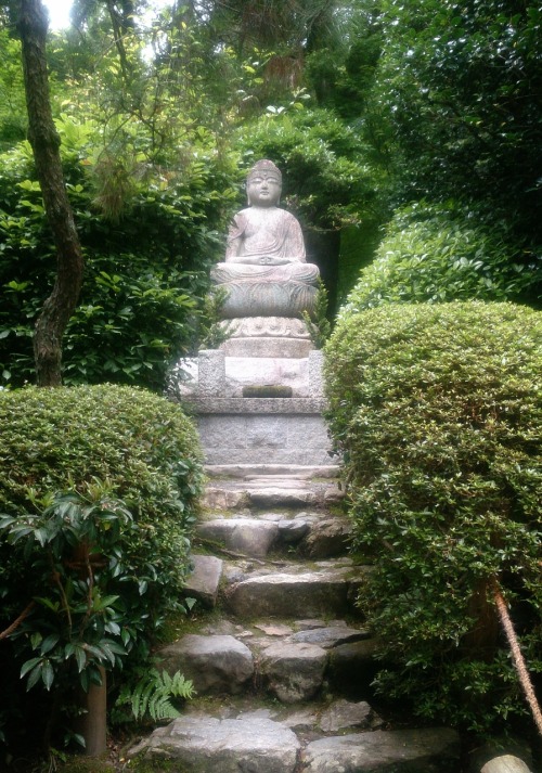 tacoriichi