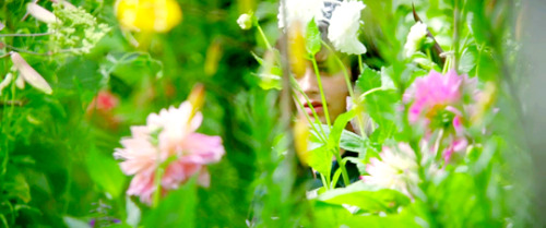 this beautiful fantastic jessica brown findlay gardening horticulture this film was relevant to my interests movie: this beautiful fantastic my stuff