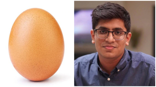 World record egg creator