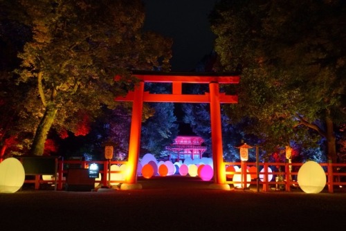 chitaka45:京都 下鴨神社「糺の森の光の祭」ライトアップ&ステンドグラスLight Festival in...