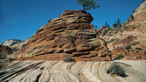 goparks:Looking to explore Zion National Park this summer?...